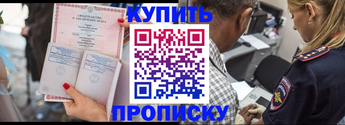 прописка законно в Тереке